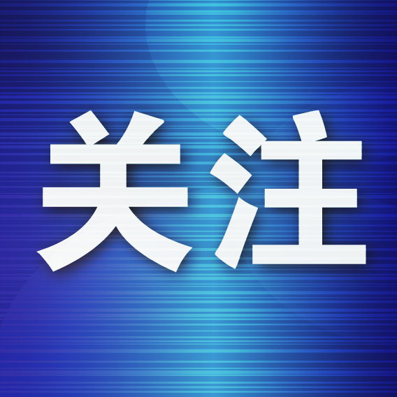 这是因为下载里面的游戏特别地多。详情图