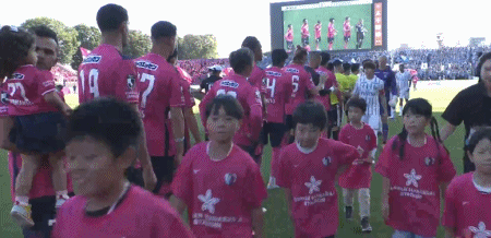 专业黄金城集团服务